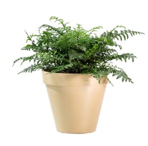 Décor de maison et de jardin classique Pot de <span class=keywords><strong>fleur</strong></span> jardinière Pot en plastique rond Vases de sol géants - Product Image 5