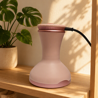 Sèche-cheveux haute vitesse 900W, moteur DC, température constante, ions négatifs, usage salon, hôtel, maison