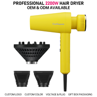 Sèche-cheveux professionnel FirePhoenix M2, vente en gros OEM, moteur sans balais ionique 2200W, léger 430g, séchage rapide, double tension 127V-240V