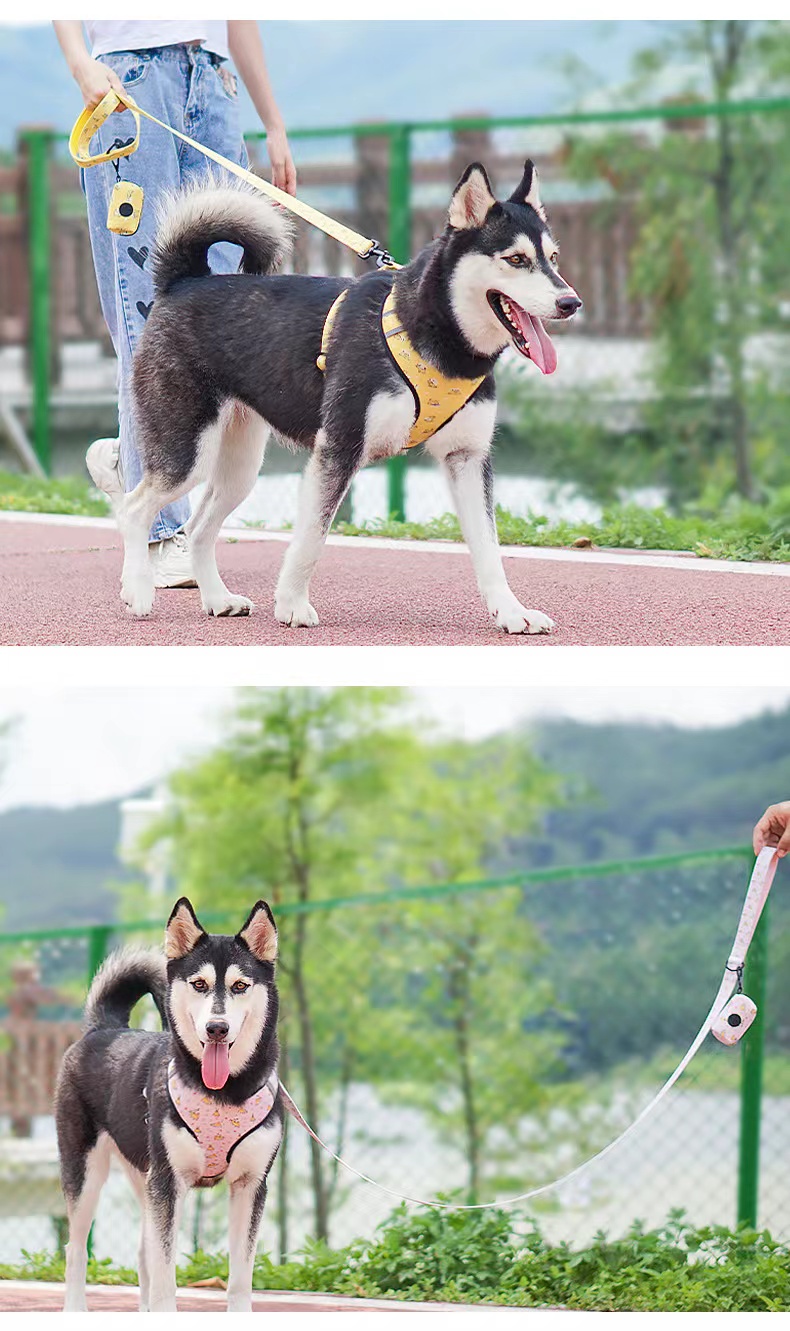Green Color Polyester Pet Dog Harness Set With Adjustable Pin Buckle
