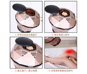 40:1 мокса торт в форме сливы Золотая полынь китайское прижигание - Product Image 4