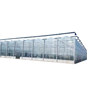 Invernadero agrícola de vidrio grande tipo Skyplant Venlo, ecológico para exposiciones de cría de semillas, restaurantes, vidrio de casa <span class=keywords><strong>verde</strong></span> - Product Image 6
