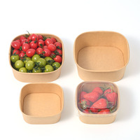 Bol carré en papier kraft jetable, écologique, 100 % biodégradable, compatible micro-ondes, pour camping, fruits, baies et salades