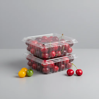 Boîte à fruits en plastique PET recyclable sur mesure, à charnière, pour myrtilles et cerises, 125-500g, emballage en blister, boîte à clapet