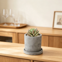Pot de fleurs cylindrique en béton texturé gris clair avec plateau assorti, mini pot à succulentes en ciment pour fenêtre de chambre, logo personnalisé