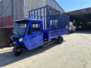 Nuevo Estilo Triciclo de 250cc para Pasajeros y Carga Motocicleta de Tres Ruedas a Gasolina - Product Image 4