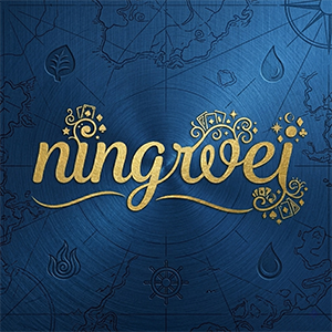 Yiwu Ningwei Import And Export Co., Ltd. logo