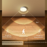 Veilleuse à induction infrarouge sensible à la lumière, modèle rechargeable >> Produits pour la maison intelligente