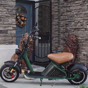 Entrepôt UE/USA Entrepôt M2 Citycoco Entrepôt Hollande Entrepôt Européen Stock 3000w Scooters électriques City Coco Citycoco Fat Tire EEC - Product Image 4