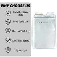 CALB 3.2V 24Ah paquet souple batterie au Lithium-ion polymère Rechargeable Lipo cellule de poche au Lithium-ion pour les cellules de véhicules à énergie nouvelle