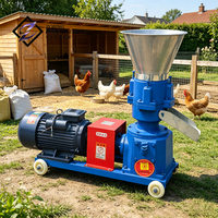 Machine à granulés commerciale mini, à matrice plate, avec entraînement par accouplement, 220V 380V, pour petite ferme avicole