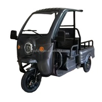 Tricycle électrique neuf Chongqing Cheetah Power ATV - OEM ODM 2026 60V/72V 1000W 50A