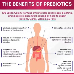 Probiótico Femenino de Marca Privada, 100 Mil Millones de UFC y Cápsulas Prebióticas para la Salud Vaginal, Salud Intestinal y Salud Digestiva de la Mujer - Product Image 2