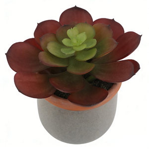 Suculenta Artificial Realista <span class=keywords><strong>de</strong></span> <span class=keywords><strong>Echeveria</strong></span> en Maceta <span class=keywords><strong>de</strong></span> Cerámica Gris <span class=keywords><strong>de</strong></span> 10.5 cm, Bonsái Artificial para Decoración <span class=keywords><strong>de</strong></span> Escritorio <span class=keywords><strong>de</strong></span> Oficina en Casa - Product Image 2