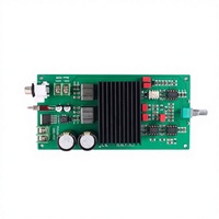 Amplificateur numérique de classe D mono Hi-Fi 1 canal TPA3255 600W haute puissance, fréquence complète/subwoofer commutable
