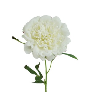 Amok <b>Artificial</b> Peony <b>Flowers</b> Single Branch Cotton Petals Desktop Decor Home Decoration European Style Floral <b>Arrangement</b> - Product Image 5