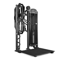 Appareil de musculation des bras en position debout |   Appareil de musculation du haut du corps en acier robuste |   Équipement de musculation réglable, pile de poids de 160 kg, garantie 10 ans