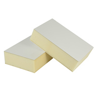 Panneau sandwich FRP PU pour chambre froide portable et chambre de congélation