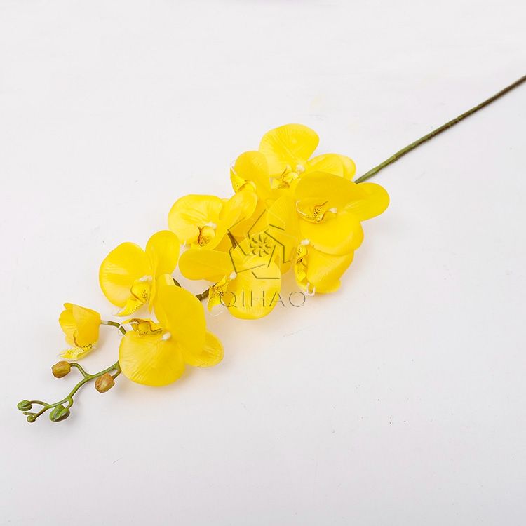 สีเหลือง