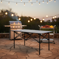Table pliante en fer avec pieds réglables, plateau épaissi, antidérapante, facile à nettoyer, légère, sac de transport inclus, idéale pour la salle de sport, la plage, le camping, les pique-niques