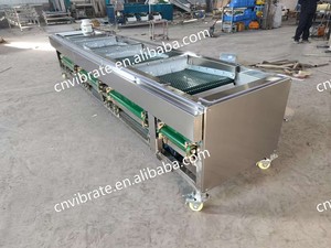 VBJX 과일 blubbery 양파 밤나무 크기 선별 그레이딩 좁은 벨트 광학 선별기 기계 기계 - Product Image 6