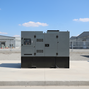 Générateur de marque Wellpower, petit modèle silencieux, démarrage automatique, télécommande, 20 kW, usage domestique, 1800 tr/min - Product Image 1