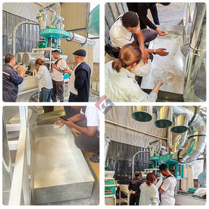 Электрическая тефф мельница тефф шлифовальная машина в Эфиопии, промышленное производство пшеничной муки - Product Image 6