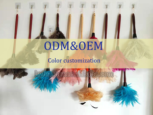 Marron <span class=keywords><strong>maison</strong></span> tenir Mini pas cher portable gris noir couleur naturelle plumeau d'autruche pour fournitures de nettoyage <span class=keywords><strong>maison</strong></span> voiture bureau - Product Image 6