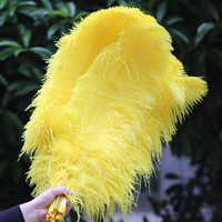 Plumes d'autruche vertes brutes de 60-65 cm en gros pour la décoration de fêtes, mariages, scènes et carnavals