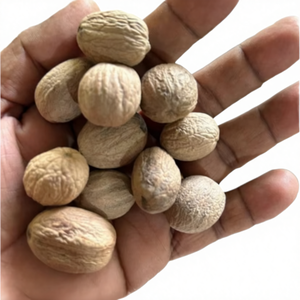 ลูกจันทน์เทศ HP Valia Jai Phal คุณภาพดีที่สุด อบแห้ง ขนาดใหญ่พิเศษ AD 20-25 มม. สีน้ำตาลอ่อน 0.5 กก. กลิ่นหอมเข้มข้น รสชาติเข้มข้น แบบดั้งเดิม - Product Image 4