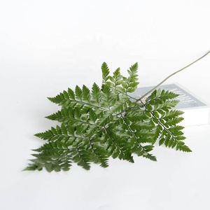 Petites feuilles de fougère préservées, colorées et attrayantes, avec tige, pour la décoration florale de jardin et de Noël - Product Image 5