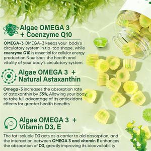 סוכריות גומי אצות OEM 2000 מ\\\"ג אומגה <span class=keywords><strong>3</strong></span>, תחליף לתוספי שמן דגים אומגה <span class=keywords><strong>3</strong></span> עם EPA ו-DHA - Product Image 5