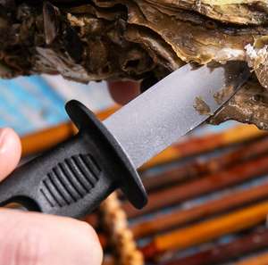 Couteau à huîtres en acier inoxydable pour moules Outils pour palourdes et crustacés Couteau à écailler les moules Couteau à huîtres pour moules - Product Image 5
