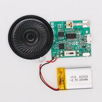 Pasivo Paych Cable Amplificateur 3 Módulo de reproductor Voi con altavoz Modul Usb Otg tipo C Contrata Audio para regalo Craft Toy