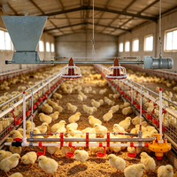 Équipement d'élevage avicole : Ligne complète automatique d'alimentation et d'abreuvement pour poulets de chair