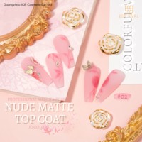 ICE NOVA Top Coat Mat Nude Fini Velours Premium & Scellant UV/LED Sans Essuyage pour Nail Art Élégant Gel Mat Vente en Gros Usine