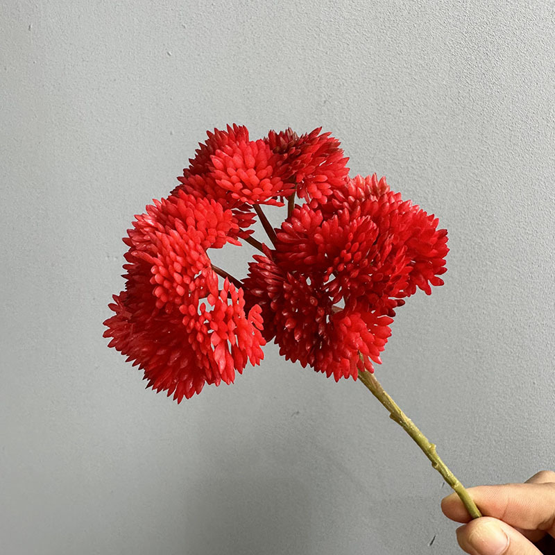 Rouge