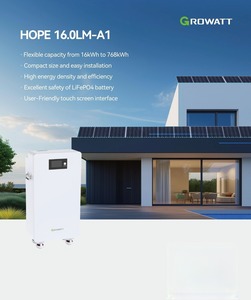 Batería de Litio Lifepo4 Growatt Residencial LV de 16 kWh, HOPE 16.0LM-A1, 51.2V, 314Ah - Product Image 3