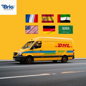 Ali Express Sea Guangzhou Freight Forwarder, agent d'expédition porte-à-porte DDP de Chine vers les États-Unis, le Royaume-Uni, l'Italie, la France, services logistiques - Product Image 6