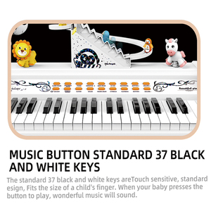 MILI débutant infantile électronique Piano Microphone petit orgue jouet pour bébé garçons filles PC matériel lumière apprentissage à piles - Product Image 3