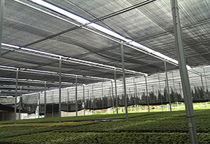 High Quality Black <strong>HDPE</strong> 195gsm Shading <strong>Net</strong> Strong and Durable Warp Knitted <strong>Mono</strong>