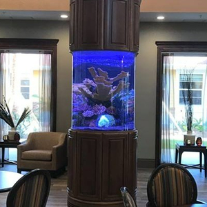 Aquariums acryliques modernes personnalisés en usine: des vues cristallines de vos poissons - Product Image 4