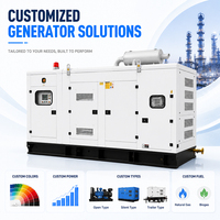 Groupe électrogène au gaz naturel super silencieux 200kW 250kW 300kW à puissance de sortie optionnelle, certifié CE pour l'alimentation de secours des usines et des centres de données