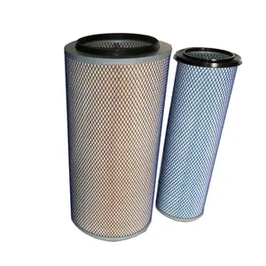 Heavy Duty Air Filter truck air filter 2448 for DAF