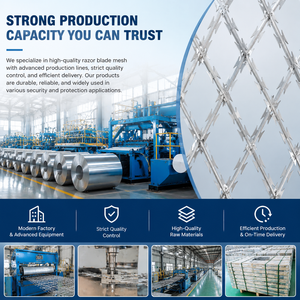 Malla de Alambre de Púas <span class=keywords><strong>BTO</strong></span> 22 CBT 65, Valla de Protección Perimetral de Alta Seguridad para Barrera de Límites Industriales, Comerciales y Residenciales - Product Image 5