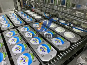 Machine professionnelle de fabrication de yaourt commercial