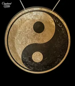 Tai Chi Gong Yinyang Gong Fengshui Gong