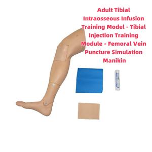 Modello di addestramento adulto del PVC per l'infusione intraossea e l'iniezione della vena tibiale manichino di simulazione di puntura per la scienza medica - Product Image 2