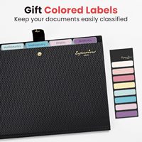 Organizador de Archivos Tipo Acordeón Sooez, Material PP, Impresión UV, Tamaño A4, 5 Bolsillos, Carpetas Expandibles con Etiquetas, Portátil para Documentos/Recibos