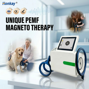 Máquina de masaje corporal para animales con certificación CE, dispositivo magnético PEMF para estimular la regeneración celular y la reparación muscular, para uso doméstico. - Product Image 1